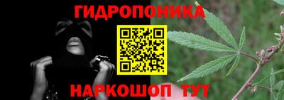спиды Брянск