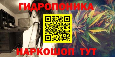 ПСИЛОЦИБИНОВЫЕ ГРИБЫ Братск