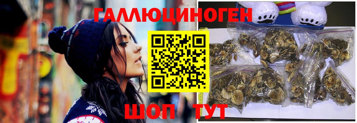Галлюциногенные грибы Psilocybe  Галлюциногенные грибы мицелий  Видное  Вход с VPN 